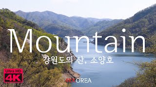 S01E82 - [4K] Mountain of Korea / 강원도의 산, 소양호 그리고 벚꽃