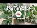 ECUAGENERA PLANT SHOW POP UP EVENT 2023 | Rare Plant Shopping & Haul