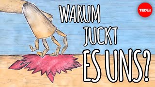 Warum juckt es uns? – Emma Bryce