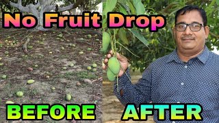 MANGO FRUIT DROP    ଆମ୍ବ କଷି ଝଡ଼ିବା