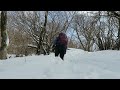 【富士山展望の山】越前岳～静岡でもふもふの雪山？！愛鷹連峰の最高峰・日本二百名山を登る【山さんぽ】