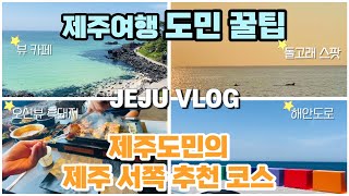 제주 여행 도민 찐 꿀팁 ! 서쪽편 (내돈내산)