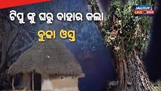 ଟିପୁ ଙ୍କୁ ନିଜ ଘରୁ ବାହାର କଲା ବୁଢ଼ା ଓସ୍ତ || Tipu house was broken by a tree