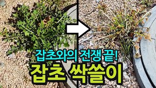 전원생활 잡초제거, 잡초제초제로 잡초제거방법, 잡초죽이기, 잡초와의 전쟁