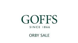 Goffs Orby Sale 2020 - Day 2