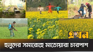 সরিষা চাষে অল্প খরচে বেশি উৎপাদন  | Mustard Production | Honey Production | Jessore News | Ekhon TV