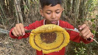 Eat honey in the forest​ ,ញ៉ាំឃ្មុំនៅក្នុងព្រៃ