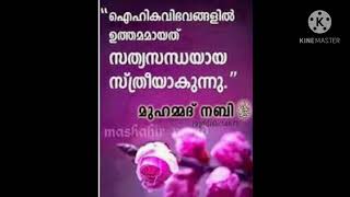 അല്ലാഹുവിന്റെ പ്രീതി കരസ്തമാക്കണമെങ്കിൽ ഇത് കാണാതെ പോകരുത് 👍(Islamic world by Bismi )