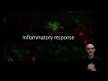 inflammatory signaling