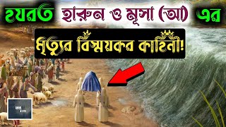 হজরত হারুন ও মূসা (আ) এর বিস্ময়কর মৃত্যুর ঘটনা || মুসা ও ফেরাউনের কাহিনী || নবদিগন্ত ||