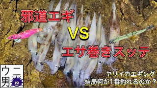 【エギング　島根県】ヤリイカエギング結局何が1番釣れるのか？