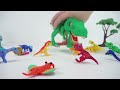 Dino Mecard Talking Egg Tyrannosaurus Triceratops Brachiosaurus Dinosaurus Toys for Kids!  ToyMoon