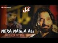 Mera Maula Ali - Slowed and Reverb | Nadeem Sarwar | #nadeemsarwar