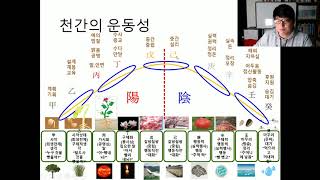 탈도사 천간을 이해하는 방법