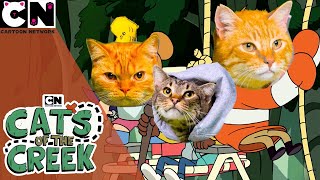 Cats of the Creek | Craig of the Creek | Cartoon Network UK