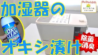 【加湿器丸洗い】内部のカビ撃退して健康空間GET！