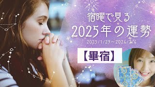 【宿曜占い】畢宿の2025年運勢