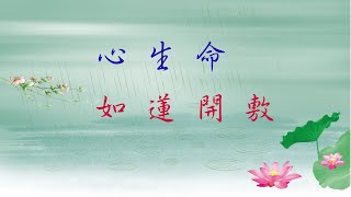 6 法華經精要: 心生命如蓮開敷 (見額法師講授)【繁簡 CC 字幕】