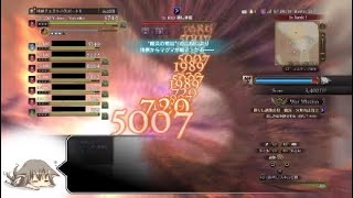 DDON WM蘇りし絶望の炎 テラーで。