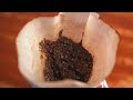 What Plants Like Coffee Grounds