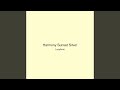 Harmony Sunset Silver