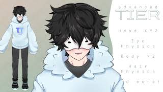 Advanced Tier « Vtuber Rigging Example »
