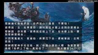 2019.3.3 胡慧玲牧師 《突破限制》馬太福音14：27-32