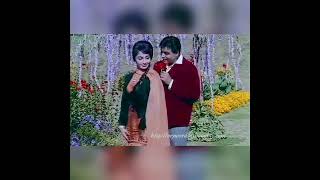 Ae Phoolon Ki Rani Baharon Ki Malika | Mohammed Rafi | Arzoo 1965 Songs | Sadhana, Rajendra Kumar