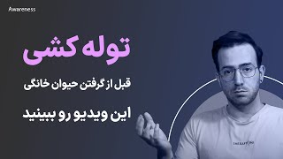 Awareness | داستان توله کشی در دنیا و خرید آگاهانه حیوان خانگی 🐈 🦮