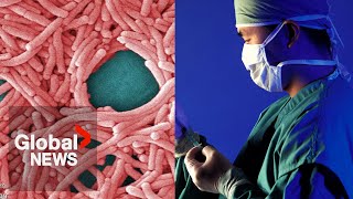 Disease X: The next possible global health threat?