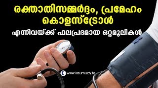 ബ്ലഡ് പ്രഷർ, ഷുഗർ , കൊളസ്‌ട്രോൾ എന്നിവയ്ക്ക് ഫലപ്രദമായ ഒറ്റമൂലികൾ