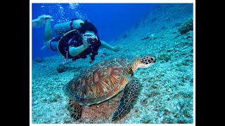 Underwater Coral Reef | Amazing Underwater World | Coral Reef | Underwater Scenery | Stunning Corals