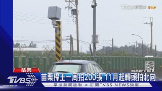 苗栗桿王一周拍200張 11月起轉頭拍北向｜TVBS新聞