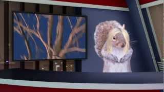 Vanderbilt Squirrelcast