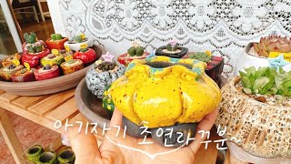 25.01.28🌱🪴베란다 (초연라꾸)화분 🧧명절 되셔요~~^^😀😀