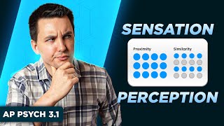 Sensation and Perception [AP Psychology Unit 3 Topic 1]