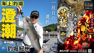 【海上釣堀】澄んだ潮に煙幕が本領発揮で一投目からてんやわんや