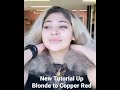 blonde to copper