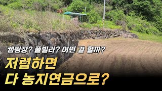 맹지 아니고 싸면 농지연금? 농지연금보다 더 높은 가치가 있다면 주변과 입지를 생각?? 토지의 가치는 살리기 나름!