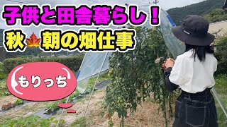 子供達と田舎暮らし！秋🍁朝の畑仕事🔰