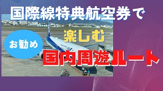 国際線特典航空券で楽しむ！お勧め国内周遊ルート