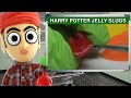 Harry Potter Gummi Jelly Slugs - Runforthecube Candy Review