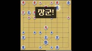 장기 18급 부터; 42전 31승 11패; 12급