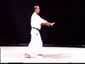 Uechi-ryu Seichin