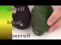 trick avocado reif oder unreif wann ist eine avocado reif