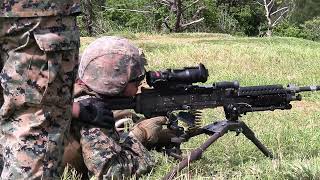 Unleashing Steel Rain! Marines Unleash Fury on Machine Gun Range (WATCH NOW!)