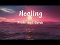 Drake&Gordo - Healing (Lyrics)