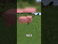 Mind-Blowing Minecraft Illusion! Rainbow Pig & Dimensional Depth Trick! (Easy Tutorial!)