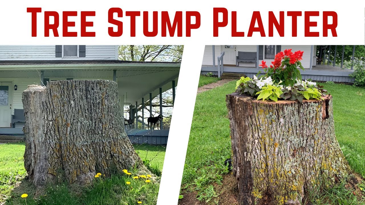Tree Stump Planter Youtube