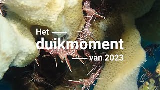 Het duikmoment van 2023 - Drukte bij de jetty